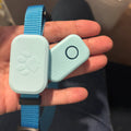 Pet Tag GPS Collar