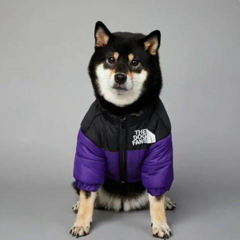 Dog Puffy Jacket